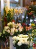 2. Bild / Blumen am Platzl  Inh. Andrea Ferian