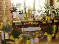 2. Bild / Blumen kreativ  Elke Wusits