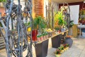 3. Bild / Oliva Blumen
