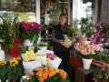 1. Bild / Blumen am Platzl  Inh. Andrea Ferian