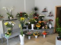 3. Bild / Blumen Schattanek-Vögele