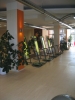 2. Bild / Mag. Werner Sturm  Wellness und Sports Dienstleistung und Beratung e.U