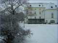 2. Bild / Cafe - Restaurant  Rathausstube