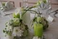 1. Bild / Blumen Isabella