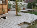 3. Bild / SILBERHOLZ  Norbert Silber