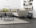 2. Bild / Holzwurm KG