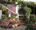 3. Bild / Gartenbau Mayer Inh. DI Christoph Buttinger