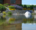 2. Bild / Gartenbau Mayer Inh. DI Christoph Buttinger