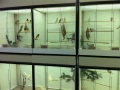 2. Bild / Zoohaus Helbok
