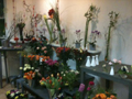 2. Bild / Bernhard Neuner  Blumen- und Friedhofsgärtnerei