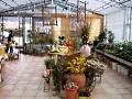 3. Bild / Gwiggner Walter Blumenhaus