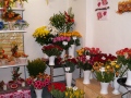 2. Bild / Blumen Melanie