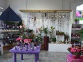 1. Bild / Blumen und Gärtnerei Brandstetter