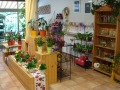 2. Bild / Blumen Rafaela