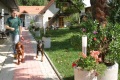 3. Bild / Tierhotel Roberts Farm  Inh. Robert Sykes jun.