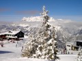 1. Bild / Krummholzhütte  A. Margith Snehotta
