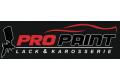 Logo: PRO PAINT&CARS e.U.