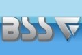 Logo BSS Bauservice Seiler e.U. in 2761 Reichental