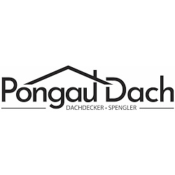 Pongau Dach