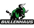 Logo Bullenhaus Immobilien GmbH  Bauträger Wels & Wels-Land