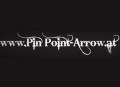 Logo PinPoint Arrow in 2000  Stockerau