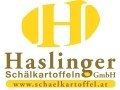 Logo Haslinger GmbH in 2013 Göllersdorf