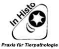Logo Praxis für Tierpathologie in 2100  Korneuburg