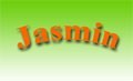 Logo Asiatisches Restaurant JASMIN Inh. JIE GmbH in 1220 Wien