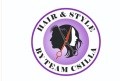 Logo: HAIR & STYLE BY TEAM CSILLA