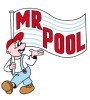 Logo: Mr. Pool  Bernhard Haunold