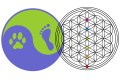 Logo Seelenheil  Harmonie für Körper, Geist & Seele Julia Partl