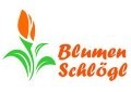 Logo Blumen Schlögl Inh. Lukas Schlögl Florist in 3382 Loosdorf