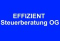 Logo EFFIZIENT Steuerberatung OG