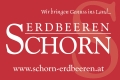 Ing. Franz Schorn Erdbeeren