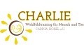 Logo CHARLIE-Training - Carina Hoisel Reitausbildung und Pferdetraining