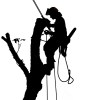 Logo Forstarbeiten Ortner Baumpflege & Baumabtragungen Inh. Andreas Ortner in 9871 Seeboden