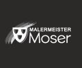 Logo Malermeister  Hannes Moser