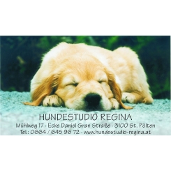 Hundestudio Regina