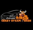 Logo: Crazy Steam Wash e.U.