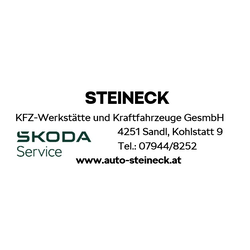 Steineck 
KFZ-Werkstätte und Kraftfahrzeuge GmbH