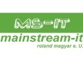 Logo: Mainstream-it Roland Magyar e.U.