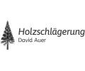 Logo Holzschlägerung David Auer