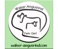 Logo Walser Angusrind