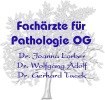 Logo Fachärzte für Pathologie OG  Dr. Lorber, Dr. Adolf, Dr. Tucek