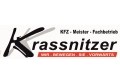 Logo Schrottzentrum Krassnitzer Inh. Wolfgang Krassnitzer Autohandel & Gebrauchtwagen in 9330 Mölbling