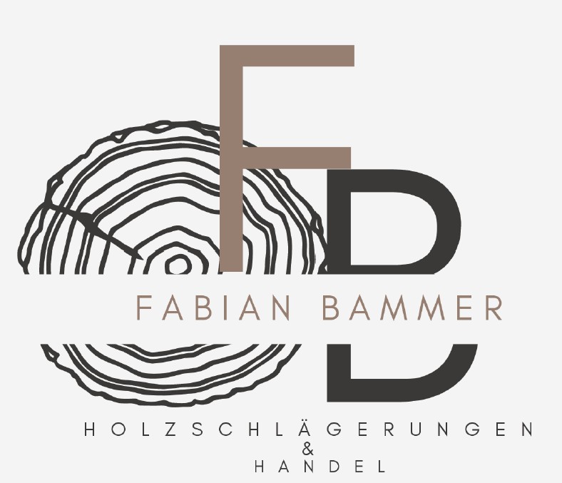 Fabian Bammer