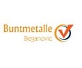 Logo: Buntmetalle Dinos
