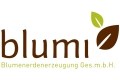 Logo Blumi Blumenerdenerzeugung GesmbH