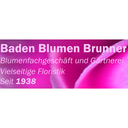 Blumen Brunner
