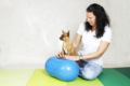 3. Bild / Fit auf 4 Pfoten Physiotherapie u. Fellpflege für Hunde